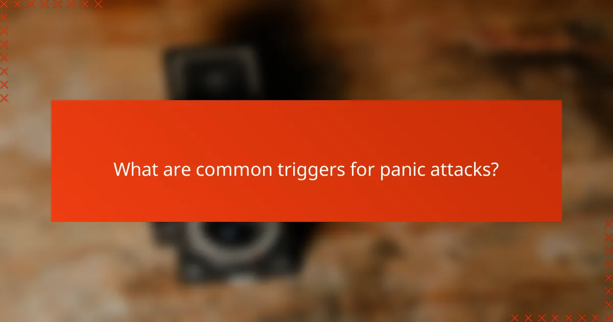 What are common triggers for panic attacks?