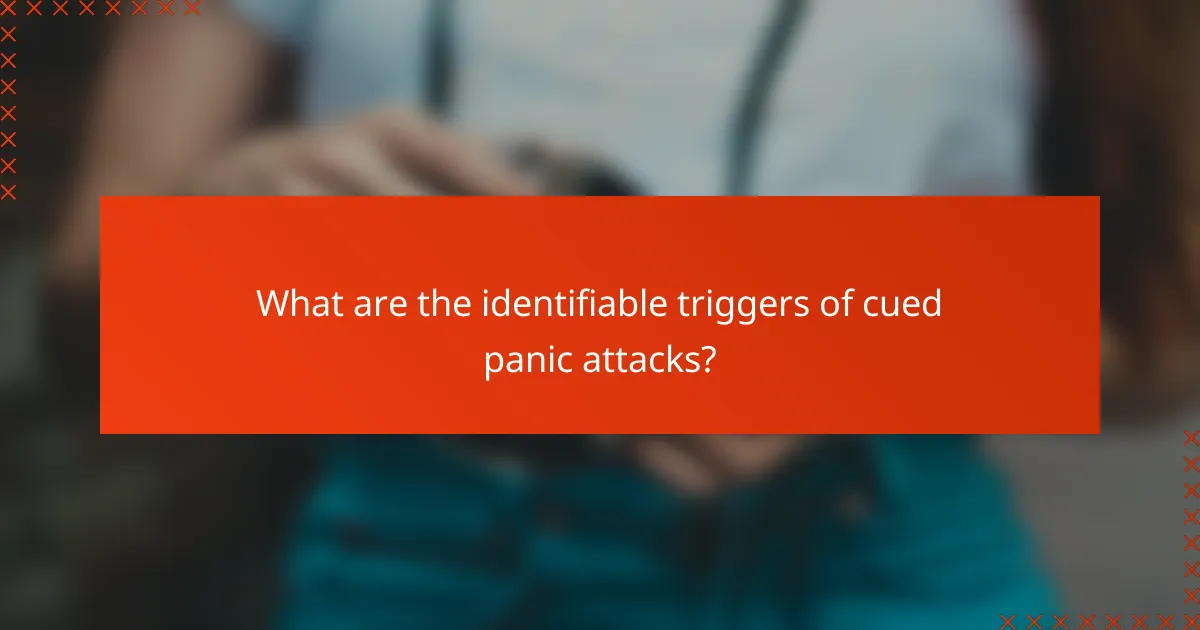 What are the identifiable triggers of cued panic attacks?