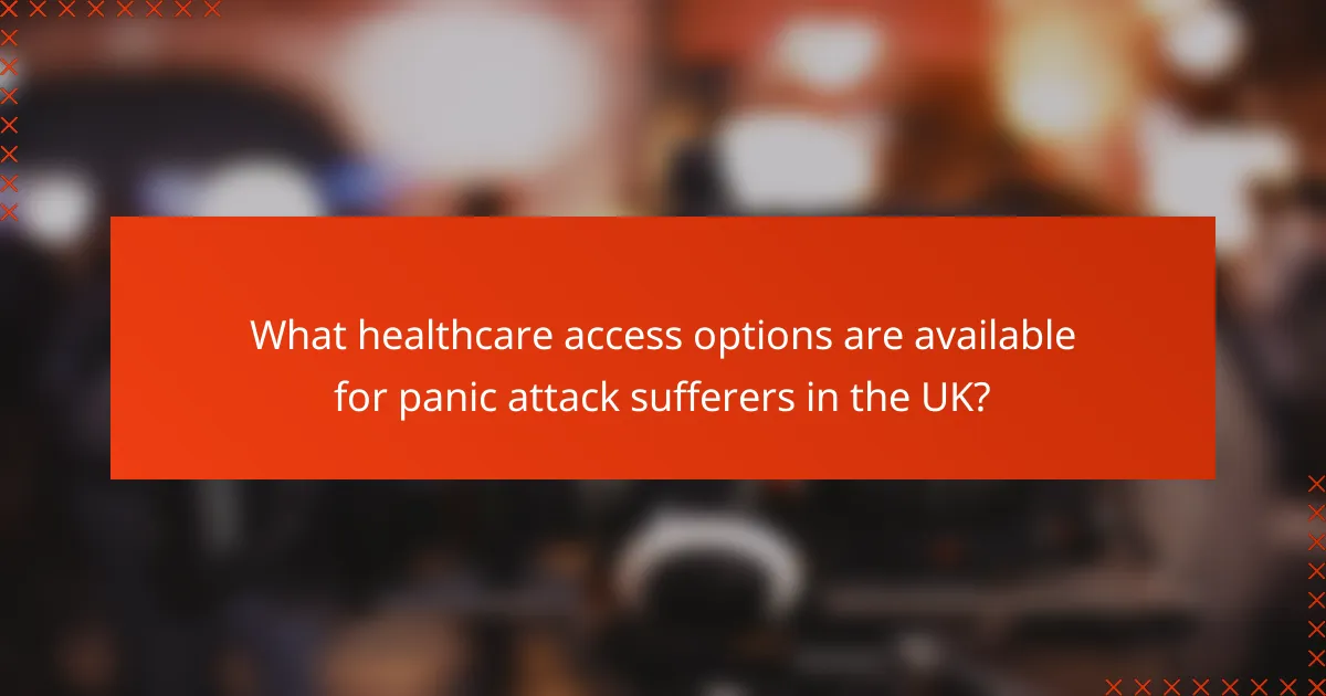 What healthcare access options are available for panic attack sufferers in the UK?