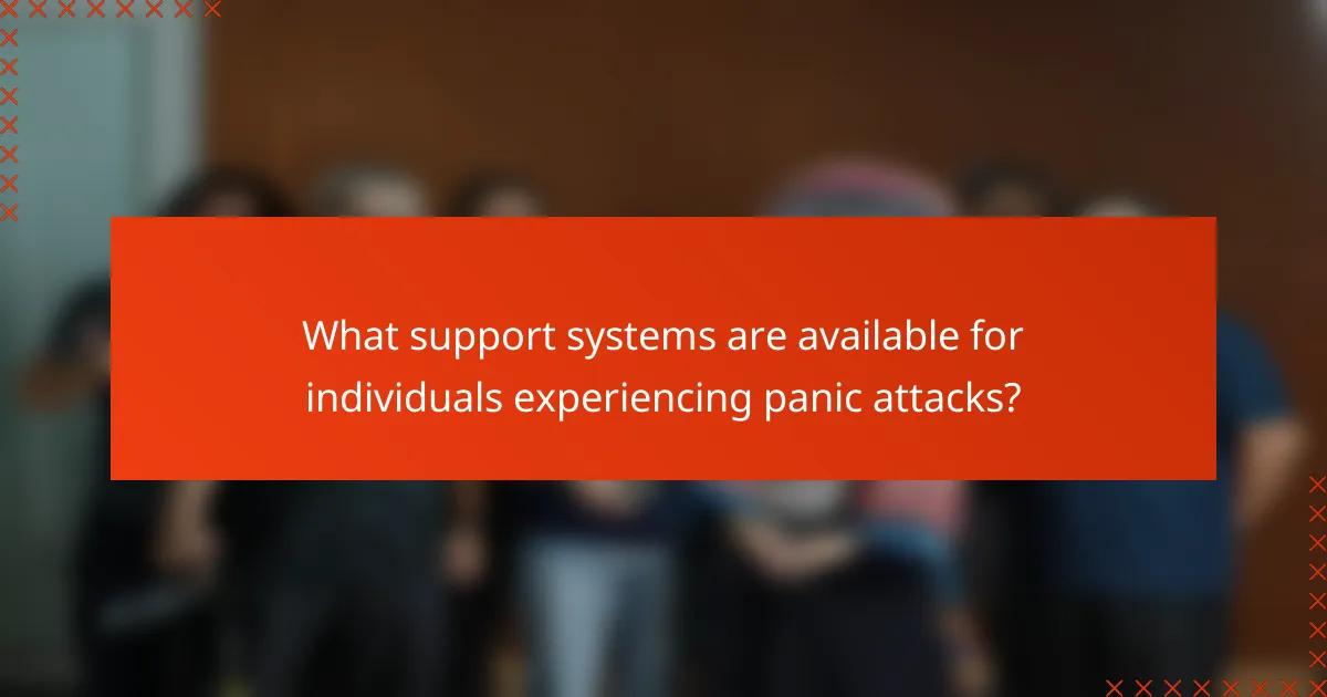 What support systems are available for individuals experiencing panic attacks?